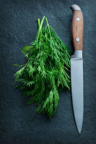 VERDEATA-MARAR (leg)