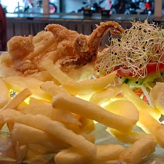 Calamares Saharianos