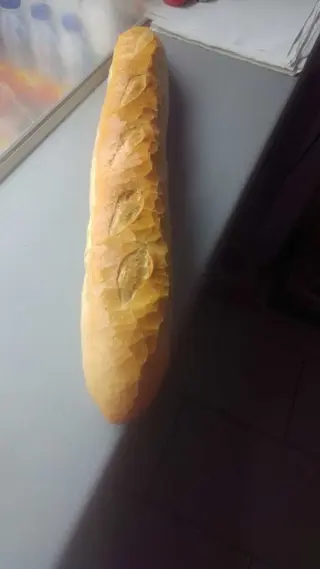 Francuz bijeli