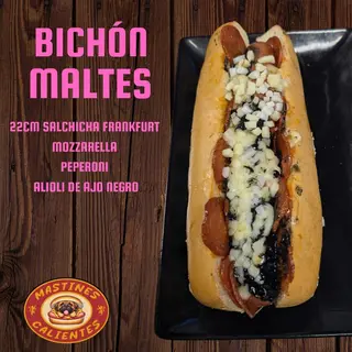 Menú Perrito Bichón Maltés