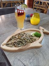 Pestisor