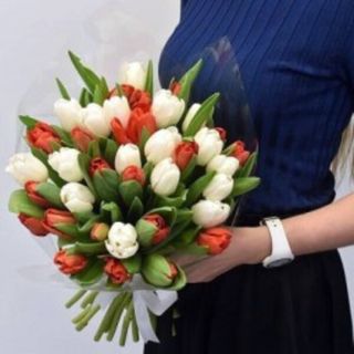 51 Lalele alb-roșii