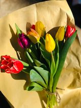 ფერადი ტიტების თაიგული