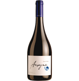 Амайна Пино Ноар