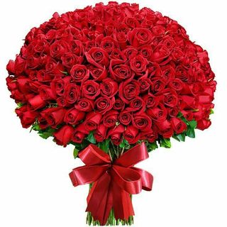50 Red Rose Bouquet 
