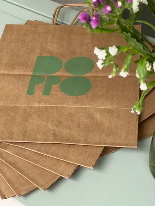 Saco de Papel
