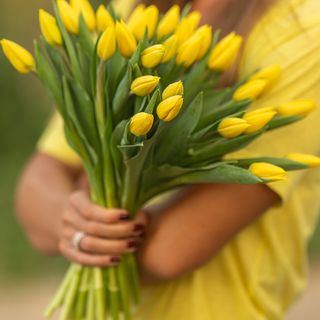 Ramo de 10 tulipanes amarillos