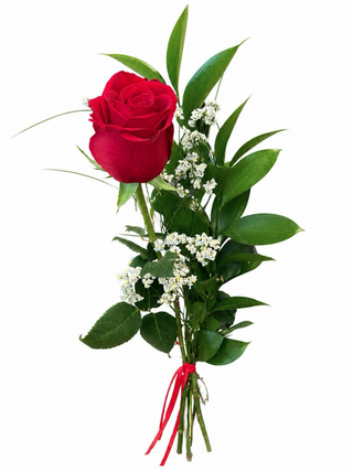 1 Rosa