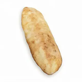 Panini