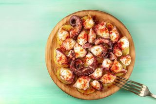 Pulpo