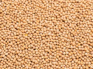 Garbanzo Pedrosillano - Precio Por Cada 100G