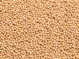 Garbanzo Pedrosillano - Precio Por Cada 100G