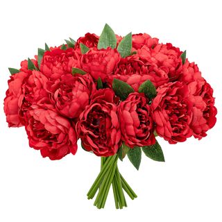 10 peonie rosso extra