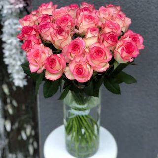 Троянда Джумілія, 1 шт