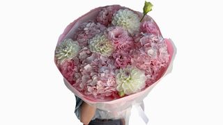 Pink Dream