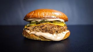Pulled Pork Burger