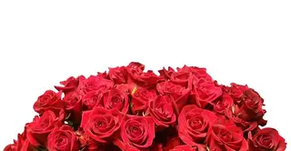 Bouquet di 12 Roselline Rosse