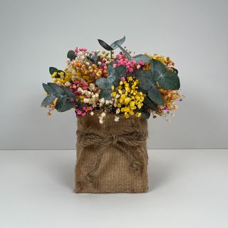 Bolsita Paniculata Cálida 