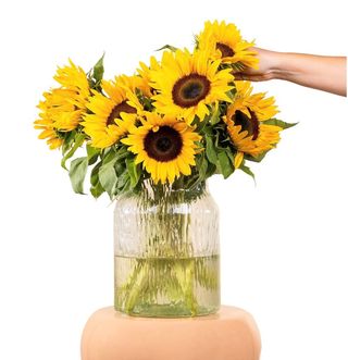 7 Girasoli