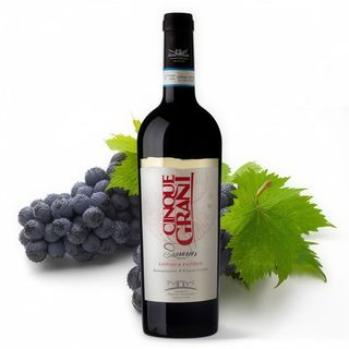 Aglianico del Sannio Cinque Grani