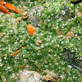 Seafood Okro