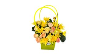 მზის სინათლის ყუთი