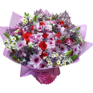Pink and White Roses