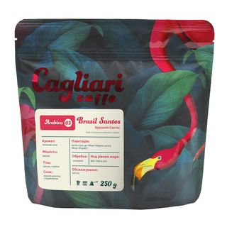 Бразилія Сантос (250г)