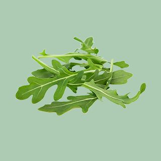 Rucola