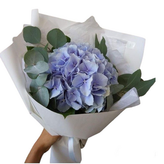 Hortensie albastra cu eucalipt