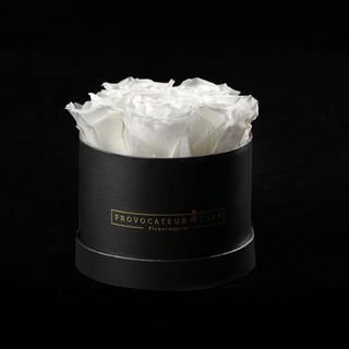 Caja de 12cm con Rosas Preservadas Blancas