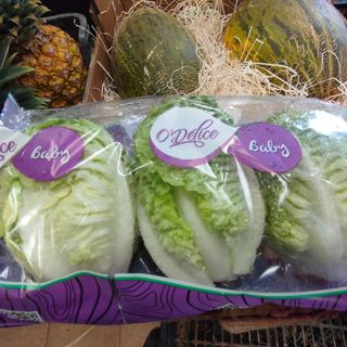 Capdells tipus tudela