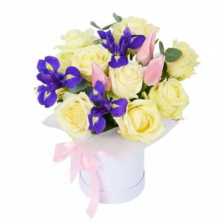 Композиція"Ідеал"