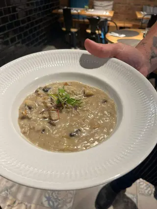 Risotto ai Funghi com azeite de trufa