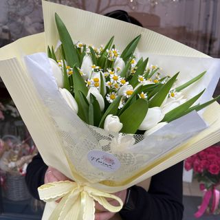 Biały tulipan i matricaria