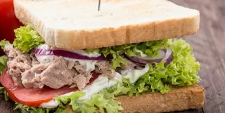 Sándwich Vegetal