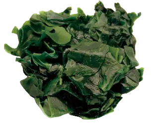 2. Wakame