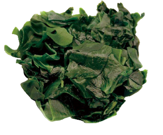 2. Wakame
