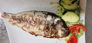 211 Orata alla griglia