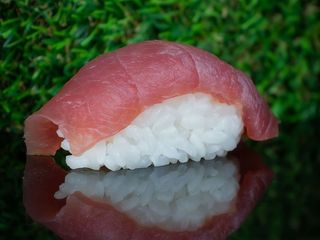 Nigiri z tuńczykiem