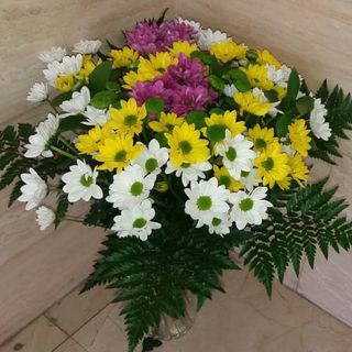 Ramo De Margaritas Variadas