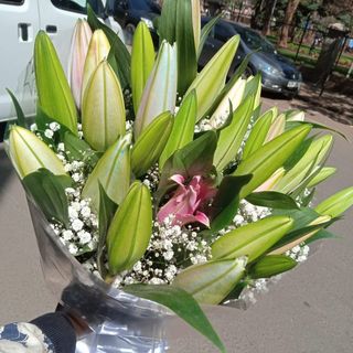 All Lilies with Gypso Bouquet