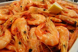 300g de Gambas Cozidas