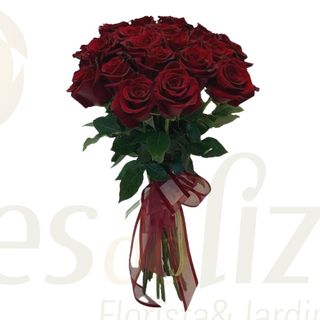 20 Rosas vermelhas