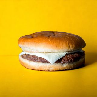 Salvaspicciolo Hamburger e formaggio