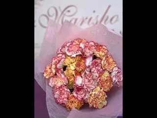 Ombre carnations