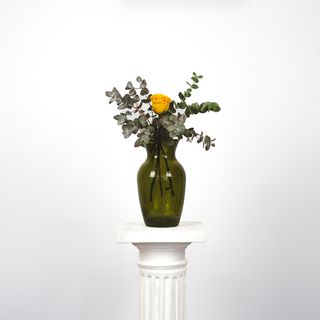 Una Rosa Silver Amarilla - BK