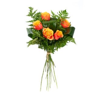 5 herbacianych róż