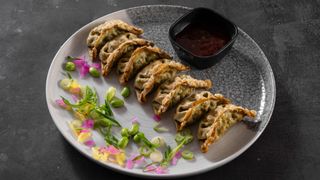 Zielone edamame gyoza japan box