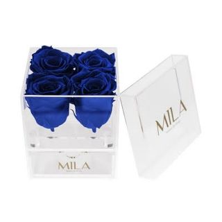 Mila Acrylic Mini Bijou